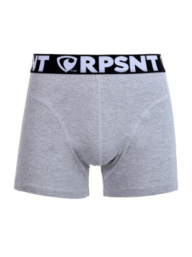 Men's boxers Represent Sport grey