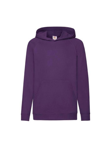 Purple Fruit of the Loom Kids Hoodie