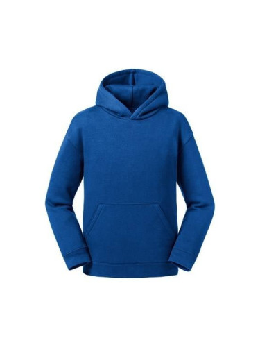 Blue Authentic Russell Hooded Kids Sweatshirt