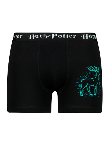 Men's boxer Harry Potter - Frogies