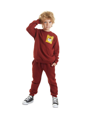 Denokids Tiger Boy's Comfortable Tracksuit Set