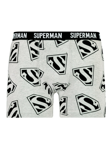 Men's boxers Superman - Frogies