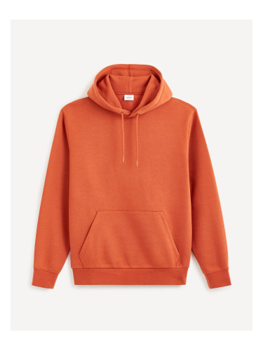 Celio Vesix Hoodie - Men