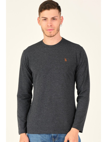 Мъжка тениска dewberry Antrsit