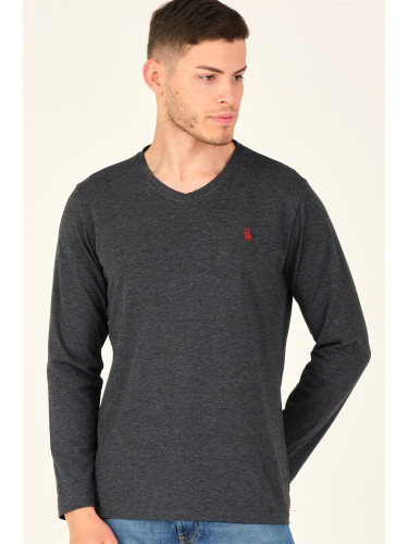 Мъжка блуза. dewberry