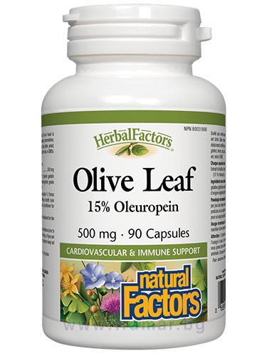 МАСЛИНА ЛИСТ капсули 500 мг * 90 НАТУРАЛ ФАКТОРС