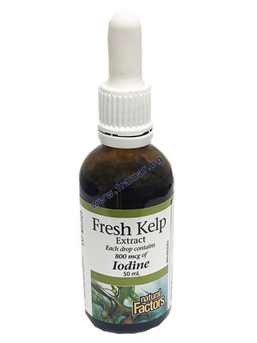 КЕЛП течен екстракт 50 мл НАТУРАЛ ФАКТОРС