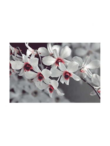 Decorado Perfume - 20х60 декорни плочки цветя (2 бр.)