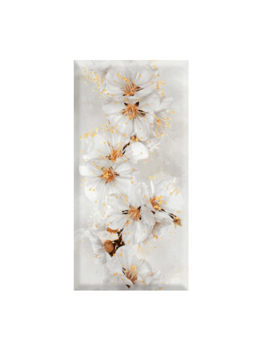 Селена череша фасет 2224 - 25х50 декорни плочки с бели червшови цветове