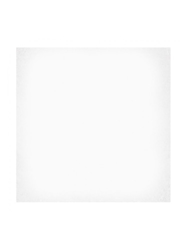 1900 Blanco G227 - теракот 20х20 см