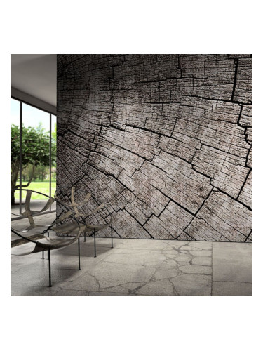 MANTIS - тапети за баня