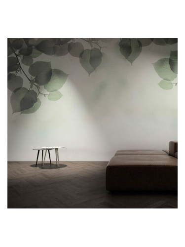 SHADOW - тапети за баня