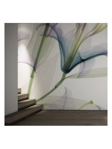 DANDY - тапети за баня