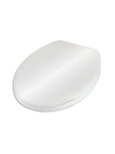 Седалка и капак за тоалетна чиния AWD02181060