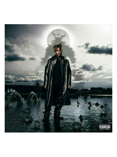 Juice Wrld - Fighting Demons (2 LP)