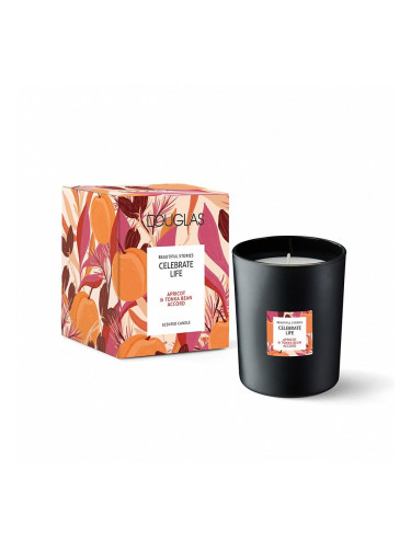 DOUGLAS Beautiful Stories Celebrate Life Candle Свещ дамски 180gr