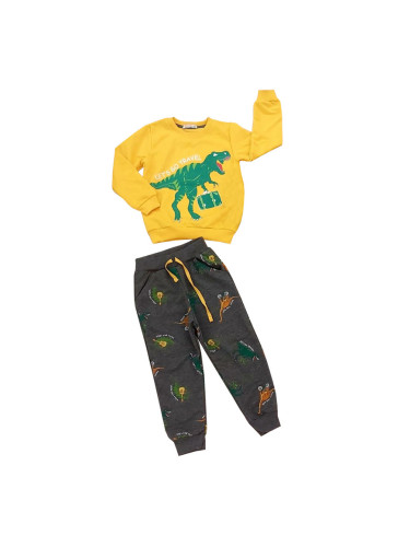  Комплект за момче от блуза в горичца и панталонки с динозаври