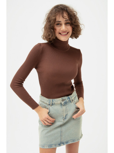 Lafaba Women's Brown Turtleneck Knitwear Sweater