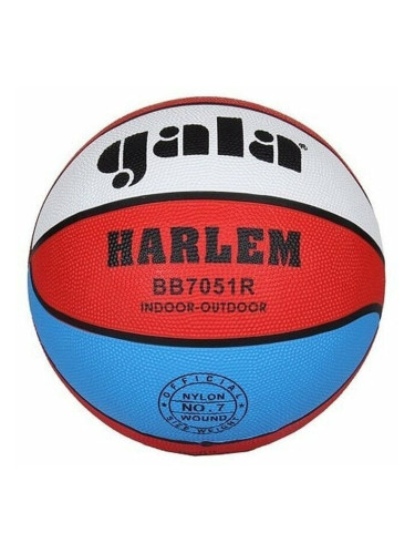 Gala Harlem 7 Баскетбол