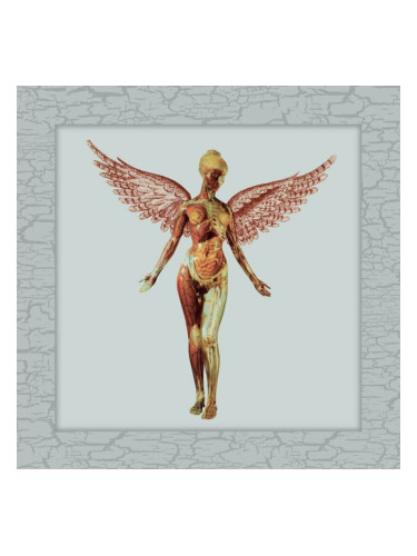 Nirvana - In Utero (Limited Edition) (Deluxe Edition) (4 LP)