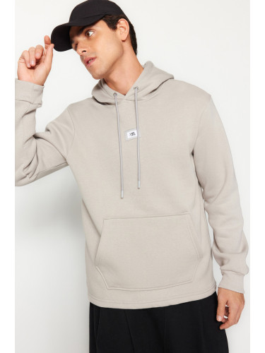 Trendyol Gray Regular/Normal Cut Hooded Long Sleeve Sweatshirt