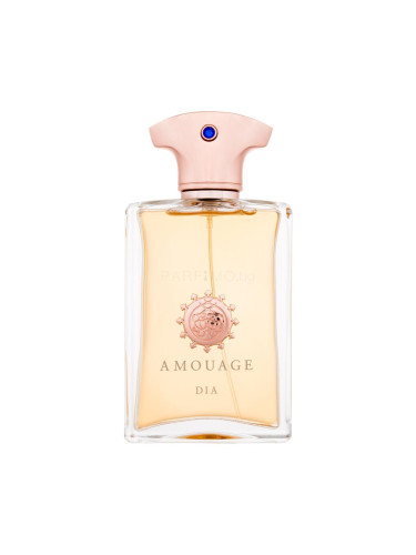 Amouage Dia Man Eau de Parfum за мъже 100 ml