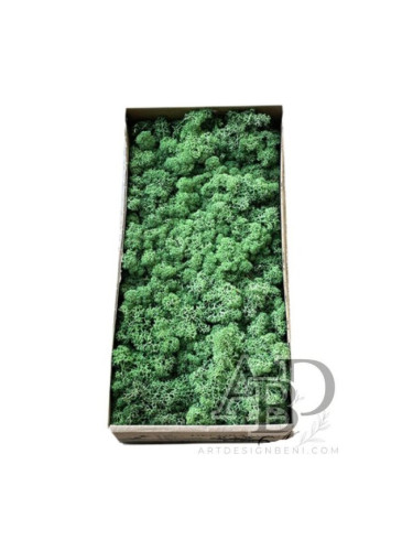 Скандинавски мъх 500 гр. тъмно зелен