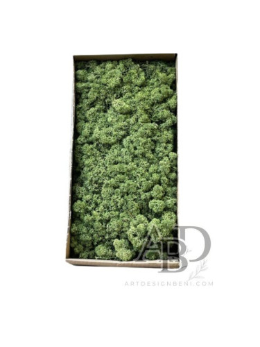 Скандинавски мъх 500 гр. войнишко зелен