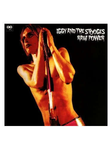 Iggy Pop & The Stooges - Raw Power (2 LP)