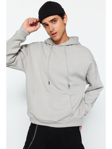 Trendyol Limited Edition Gray Oversize/Wide-Fit Embroidered Inner Fleece Hooded Sweatshirt