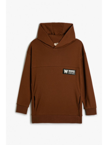 Koton Boy's Brown Sweatshirt