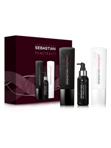 Sebastian Professional Penetraitt подаръчен комплект (за увредена и химически третирана коса)