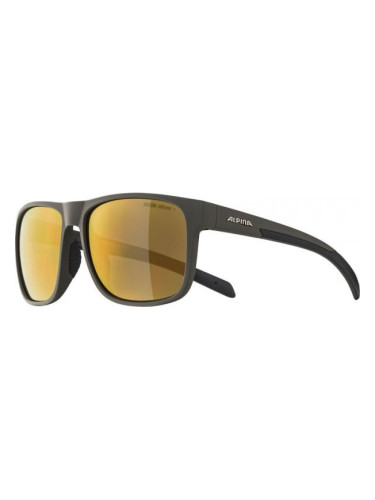 Alpina Sports NACAN III HM Универсални слънчеви очила, тъмносиво, размер