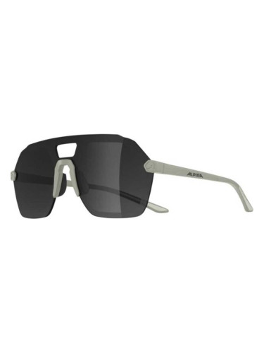 Alpina Sports BEAM I Модерни очила, сиво, размер