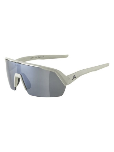 Alpina Sports TURBO HR Слънчеви очила, сиво, размер