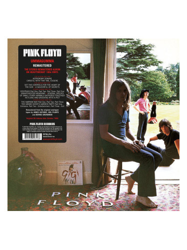 Pink Floyd - Ummagummma (2011 Remastered) (2 LP)