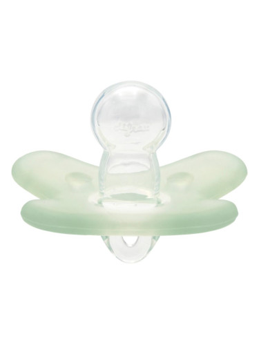 Canpol babies 100% Silicone Soother 0-6m Symmetrical биберон Green 1 бр.