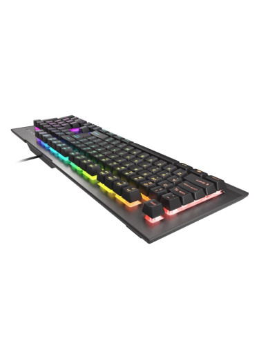 Клавиатура Genesis RHOD 500 RGB, гейминг, RGB подсветка, anti-ghosting, черна, USB