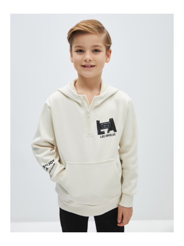 LC Waikiki Printed Long Sleeve Boys' Hoodie