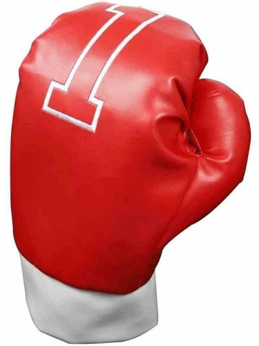 Longridge Boxing Gloves Калъф