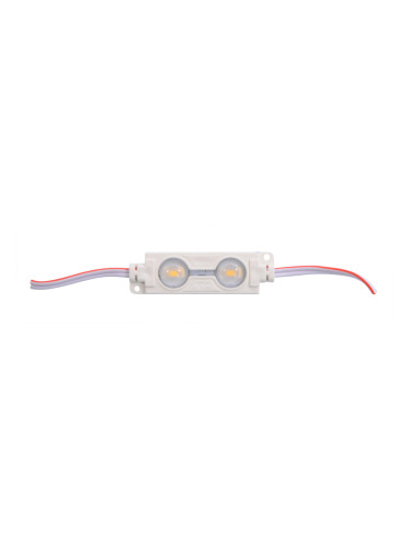 LED модул 2LED, 0.96W, 12VDC, влагозащитен, студено бял, IP65