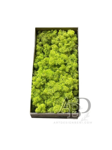 Скандинавски мъх 500 гр. лимонен