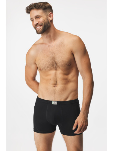 Бамбукови боксерки Norbert