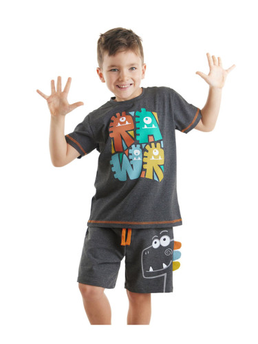 Denokids Rawr Dino Boy's Summer T-shirt Shorts Set