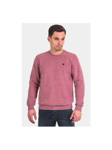 Мъжки пуловер 35912-50 MCL