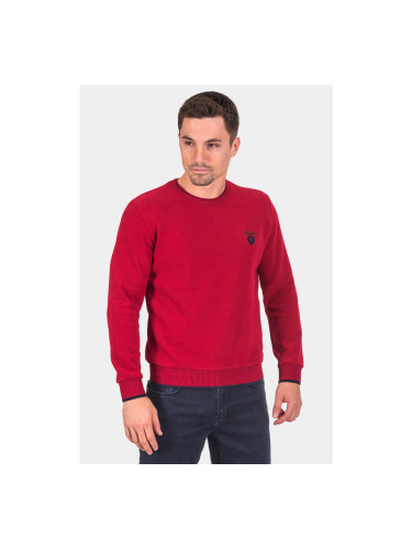 Мъжки пуловер 27643-19 MCL