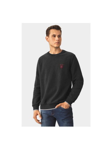 Мъжки пуловер MCL 27643-09