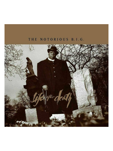 Notorious B.I.G. - Life After Death (Deluxe Edition) (8 LP)