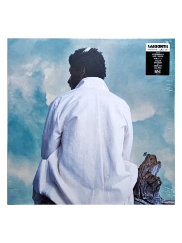 Labrinth - Misfit Kid (LP)