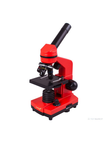 Микроскоп LEVENHUK Rainbow 2L Orange